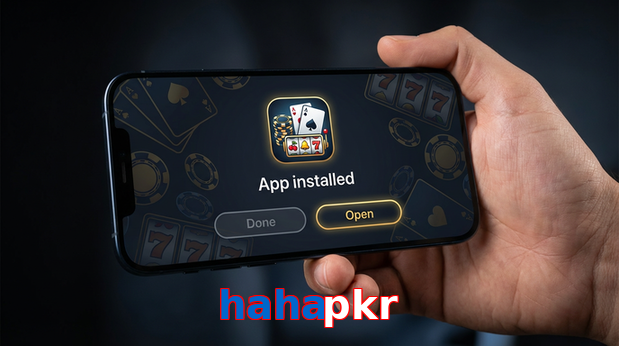 Payment and PKR controls in Hahapkr